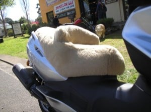 Suzuki AN650 Burgman 2003 Cane Sheepskin Motorcycle Seat Cover