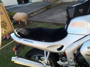 Triumph Sprint ST Gel Seat 2004 Black Sheepskin Motorcycle Seat Cover
