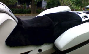 BMW R1200RT 2005 Black Sheepskin Motorcycle Seat Cover