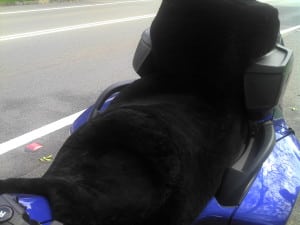 Can Am Spyder RT + Pillion Backrest 2010 Black Sheepskin Motorcycle Seat Cover