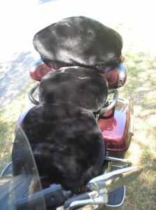 Yamaha Royal Star Venture XVZ 1300 TF 1999 - 2007 Black Custom Made Sheepskin Motorcycle Seat Cover with Pillion Backrest