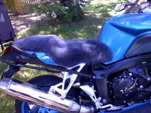 BMW K 1200 R 2006- Charcoal Sheepskin Motorcycle Seat Cover