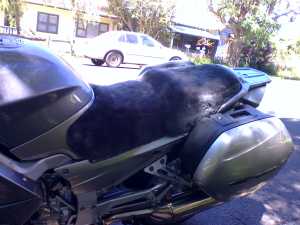 Yamaha FJR1300 2006- Charcoal Custom made sheepskin Motorcycle seat cover